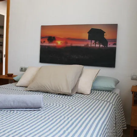 ホームステイ En Piso Compartido In Shared Flat